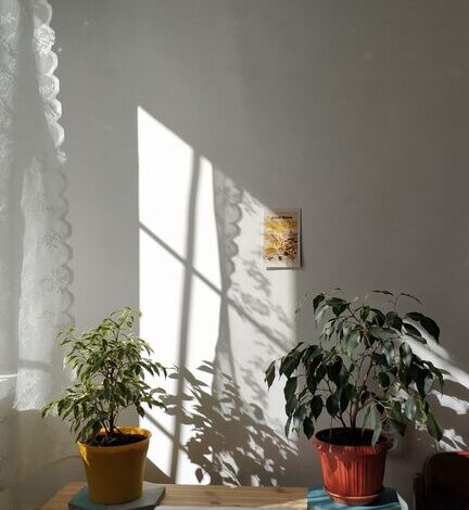 Tips for Creating a Cozy and Inviting Home Workspace