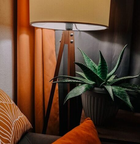 Tips for Creating a Cozy and Inviting Living Space on a Budget