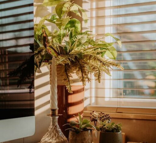 Tips for Creating a Cozy and Productive Home Workspace